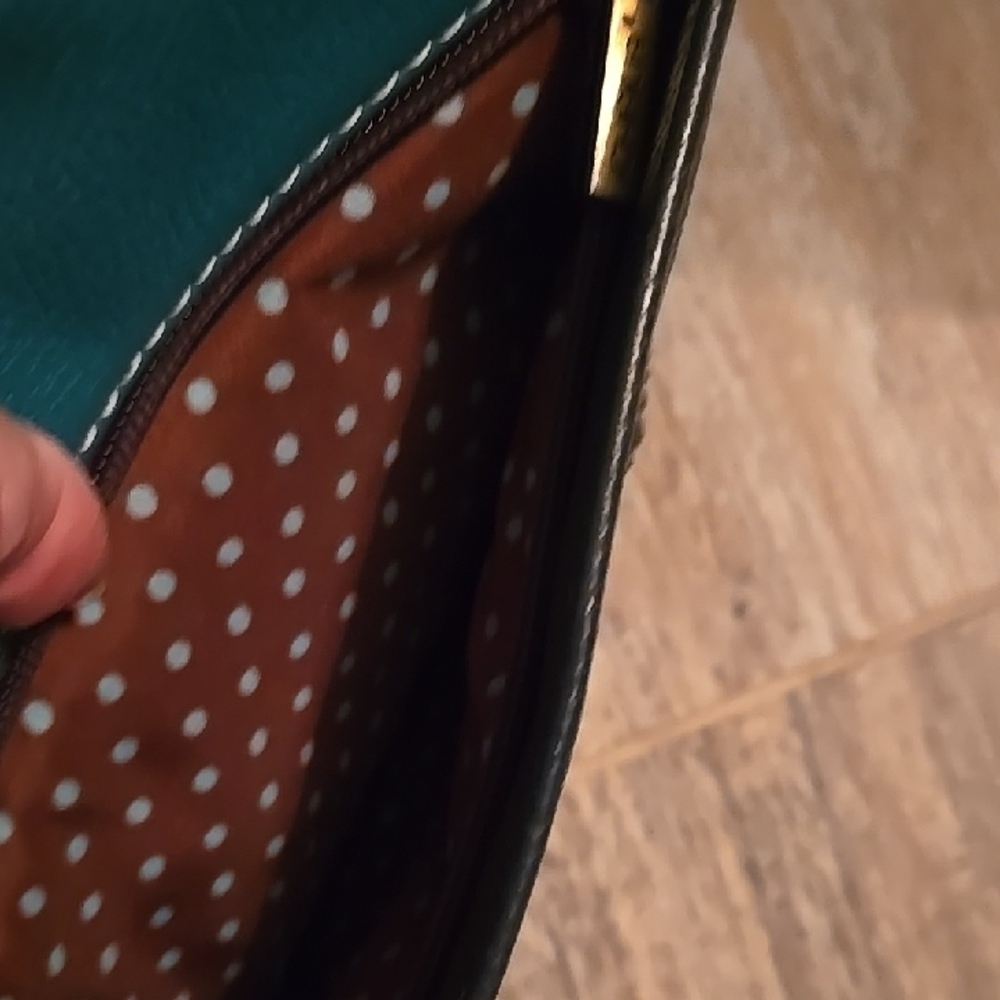 Chala Dark Brown and Teal Turtle Crossbody Bag - Picture 9 of 12
